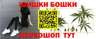 spice Коммунар