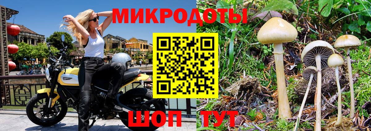 Галлюциногенные грибы Cubensis  Галлюциногенные грибы Psilocybe  Вход с VPN  Киселёвск 