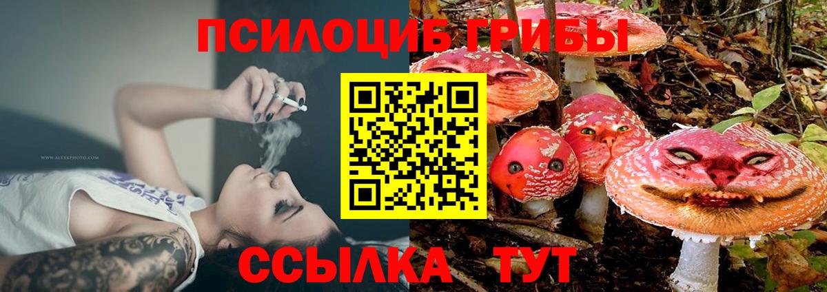 Псилоцибиновые грибы Magic Shrooms Киселёвск